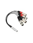 ATOMOS XLR BREAK OUT CABLE