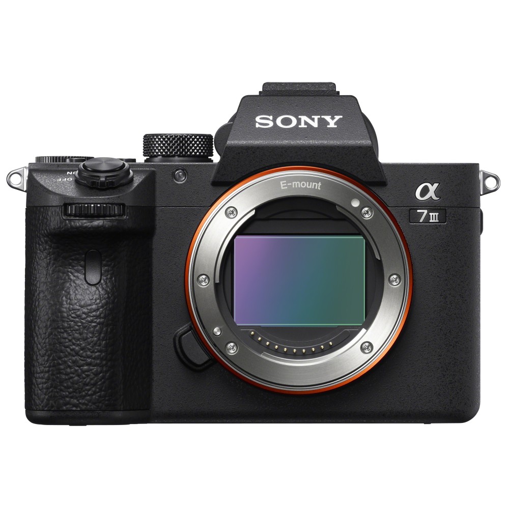 SONY A7 III + 24-105mm f 4 - ILCE7M3GBDI