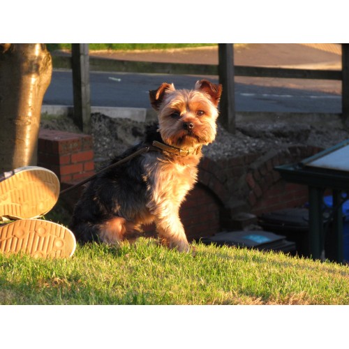 CANON IXUS 285 HS A SILVER