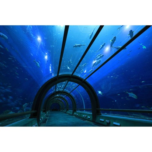 CANON RF-S 10-18mm f/4.5-6.3 IS STM