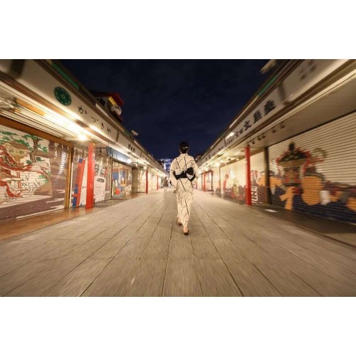 CANON RF 10-20mm f/4 L IS STM