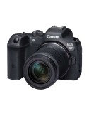 CANON EOS R7 + RF-S 18-150mm f/3.5-6.3 IS STM